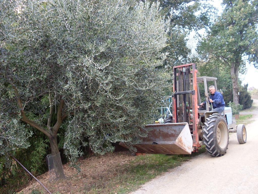 Agriturismo La Marletta Ίμολα Εξωτερικό φωτογραφία